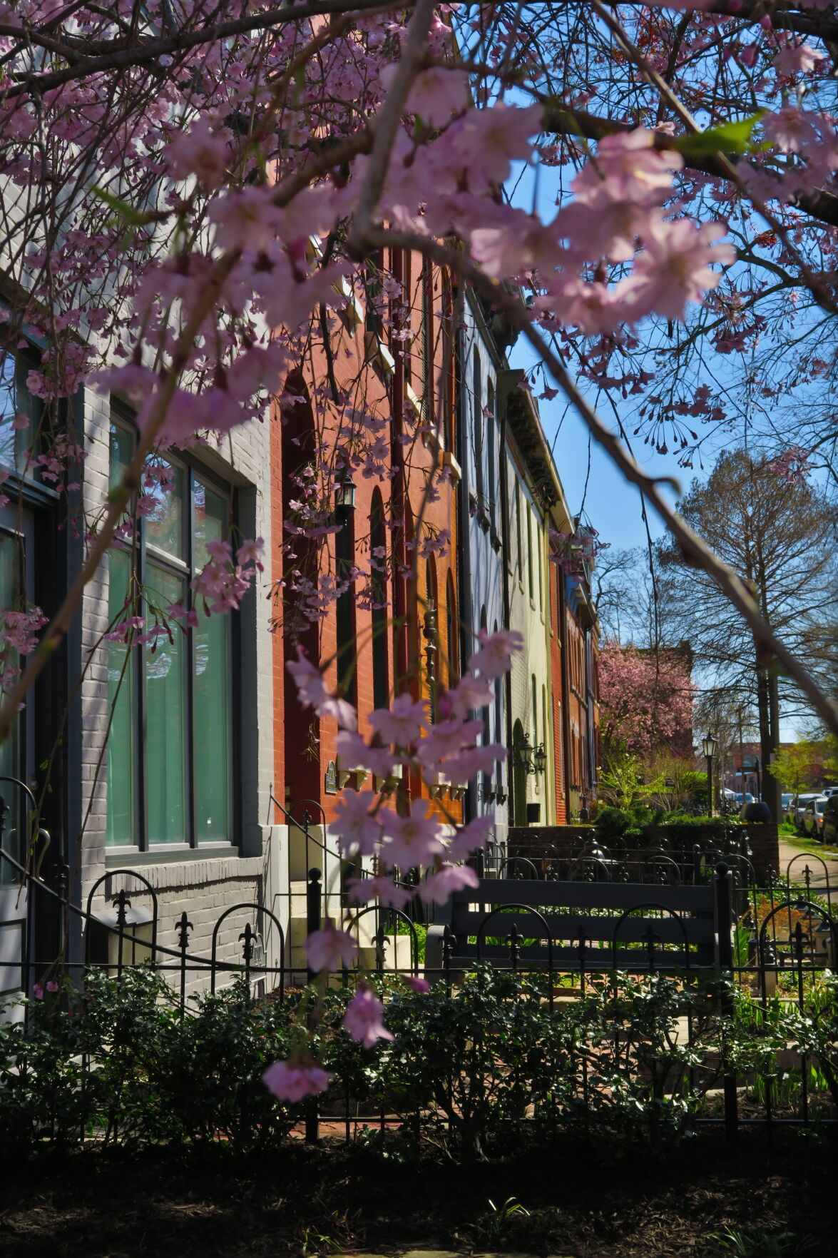 Lafayette Square photo by B. Bastian